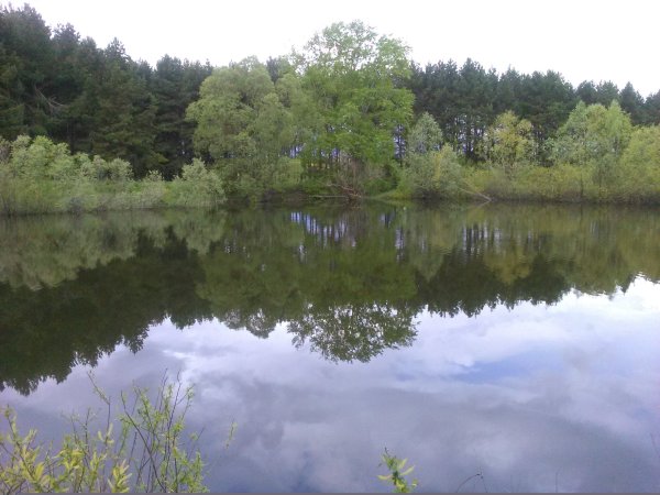 Озеро Аль в Чувашии