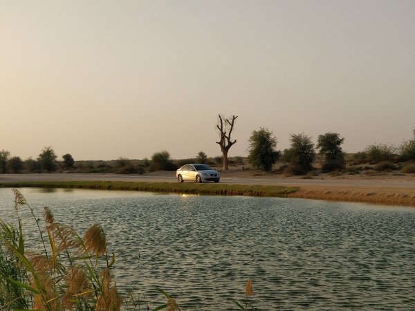 Озеро Аль в Янтиковском районе