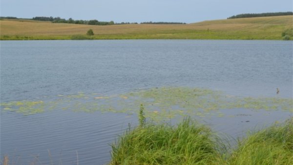 Озеро Аль Янтиковский район Чувашия