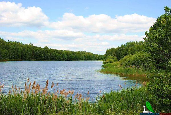 Озеро Астраханка Чувашия