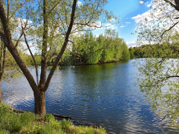 Озеро Аль Янтиково