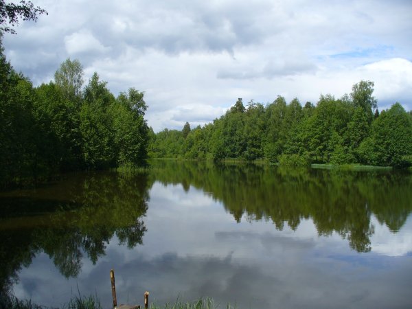 Озеро Когояр Марий Эл