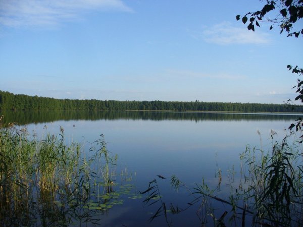 Озеро Когояр Марий Эл