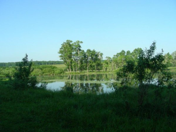 Озеро Аль в Чувашии