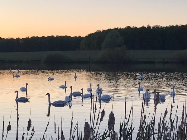 Белое озеро (Чувашия)