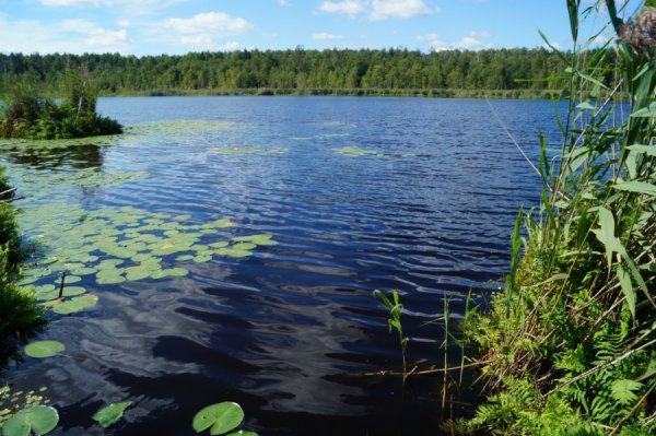 Оз Изъяр Чувашия