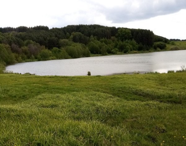 Озеро Аль Янтиковский район Чувашия