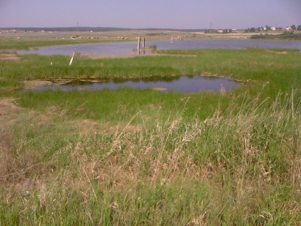 Озеро Тагарское