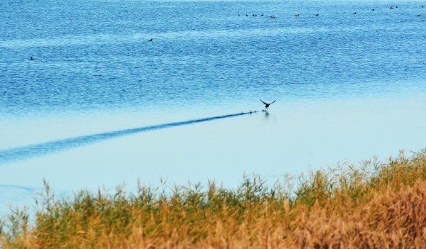 Озера Минусинска