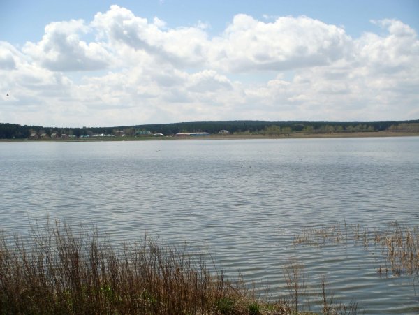 Озеро Тагарское Красноярский