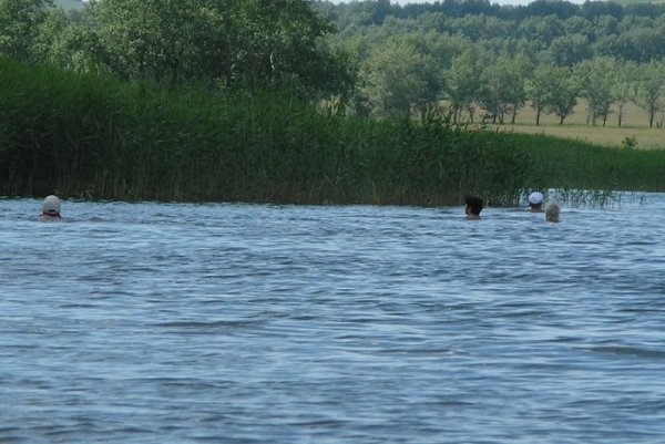 Озеро Тагарское Минусинский район