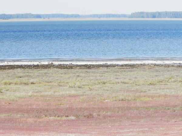 Тагарское Минусинский