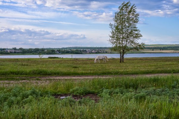Озеро Тагарское Красноярский