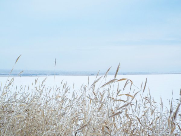 Усадьба озеро Тагарское