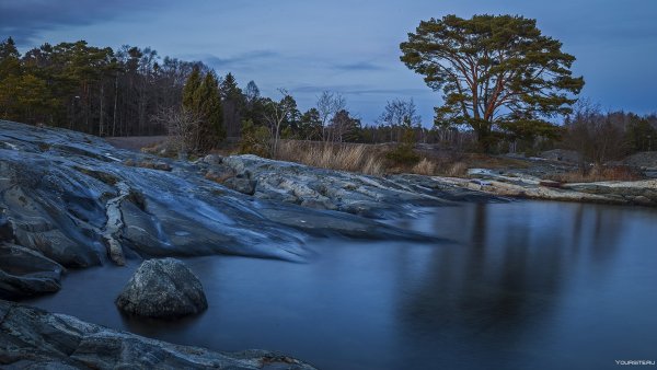 Токкерн озеро Швеция