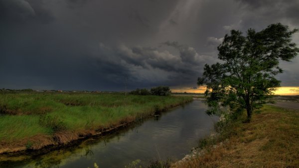 Река в поле