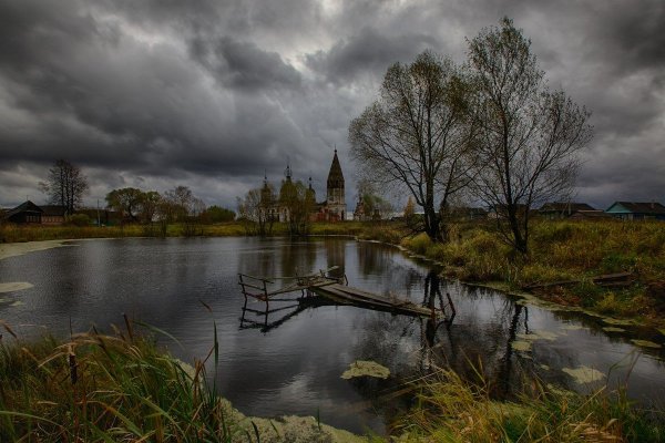 Пасмурная природа