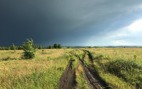 Природа перед грозой