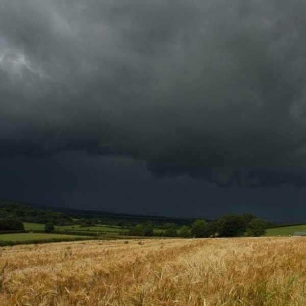 Поле перед грозой