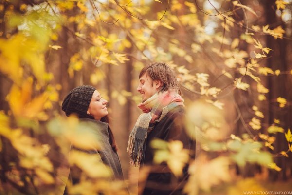 Осенняя встреча