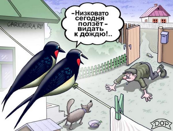 Приметы карикатура
