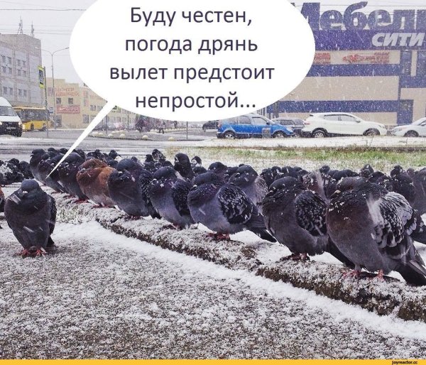 Коротко о погоде юмор