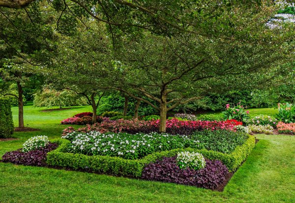 Куртина что это в ландшафте