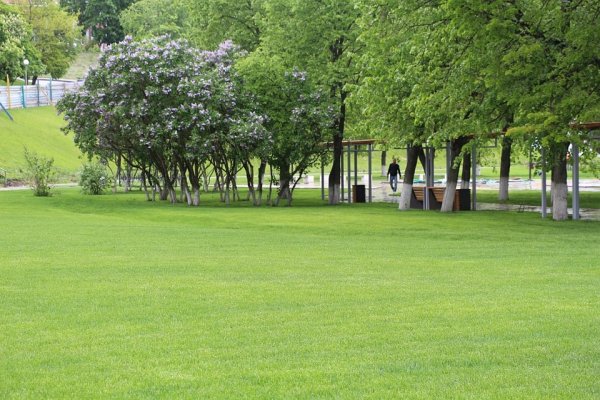 Детский парк Орел 2020