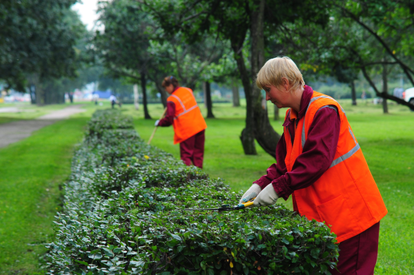 Озеленение и благоустройство города