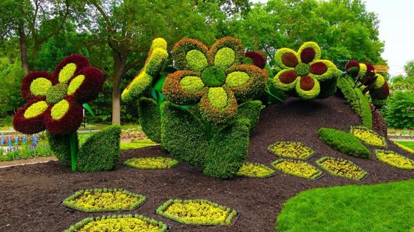 Топиарные фигуры - клумбы