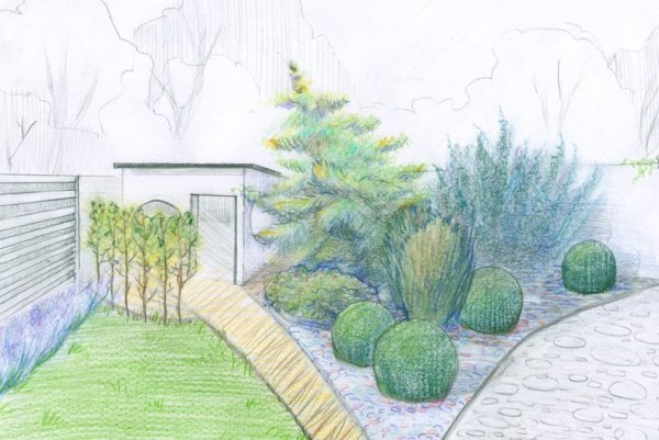 Организация архитектурно-ландшафтного пространства