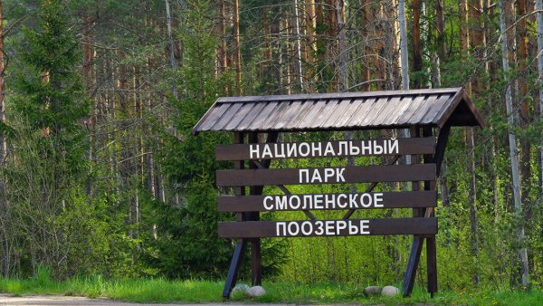 Смоленское Поозерье национальный парк