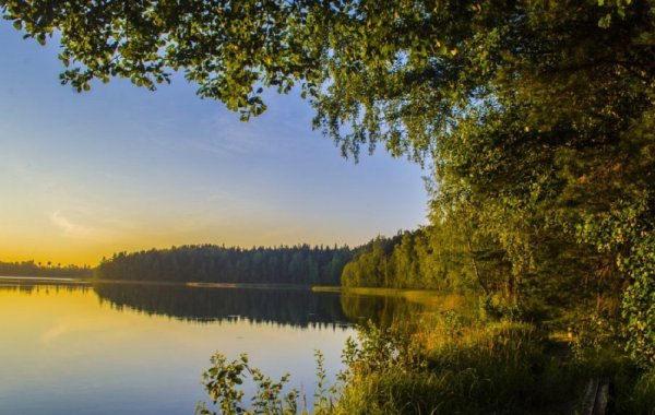 Парк Смоленское Поозерье