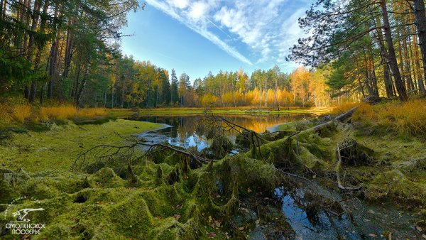 Нац парк Смоленское Поозерье