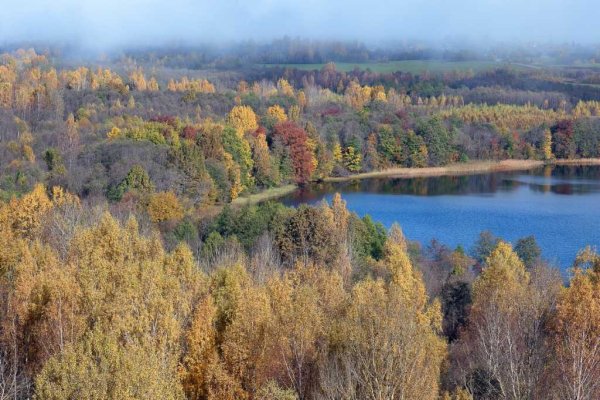 Смоленск парк Поозерье