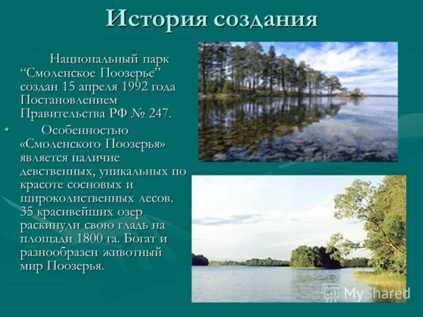 Национальный парк «Смоленское Поозерье» растения