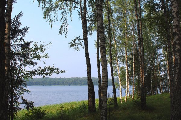 Бакланово озеро Смоленское Поозерье
