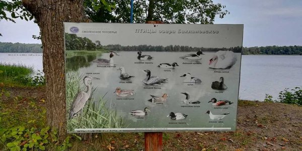 Национальный парк Смоленское Поозерье логотип