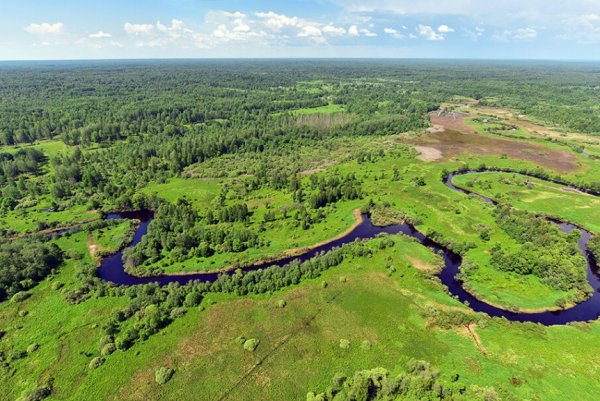 Смоленское Поозерье национальный парк