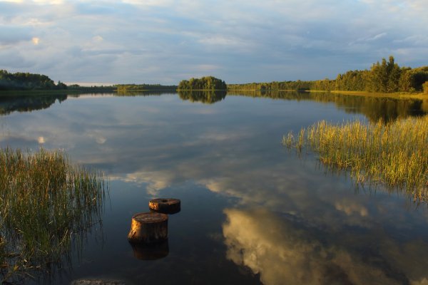 Смоленское поозёрье национальный парк
