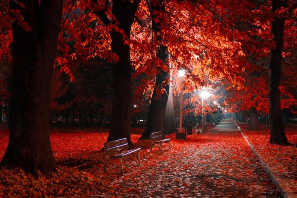 Красивая осень