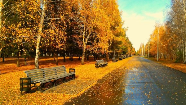 Осень в парке
