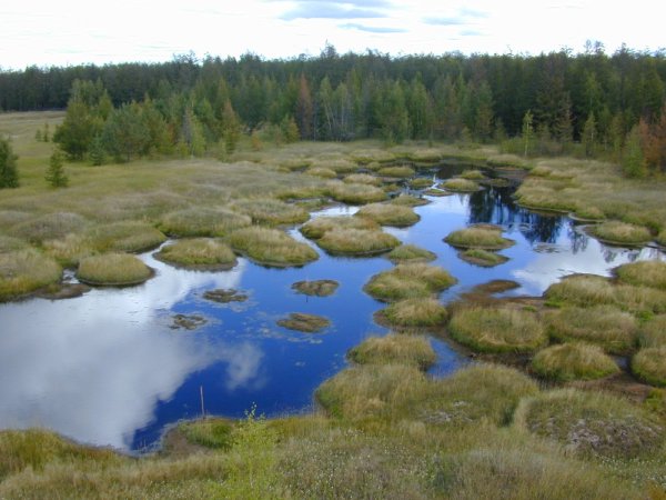 Термокарстовые озера Якутии