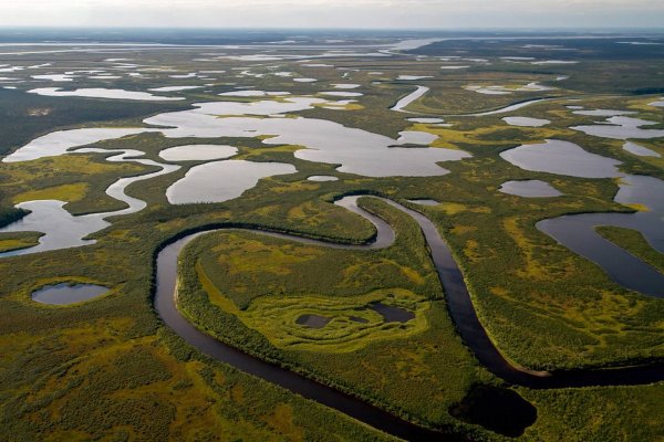 Термокарстовые озера Таймыр