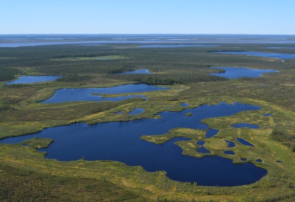 Термокарстовые озера Таймыр