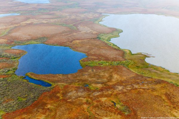 Термокарстовые озера Таймыр