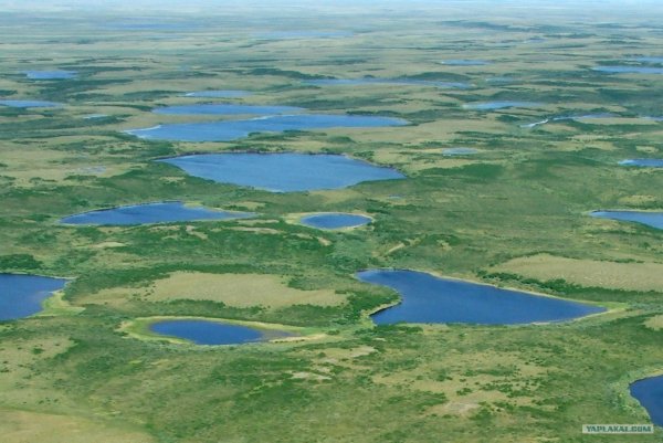 Термокарстовые озера Якутии