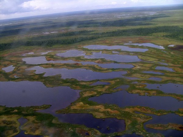 Термокарстовые озера Таймыр