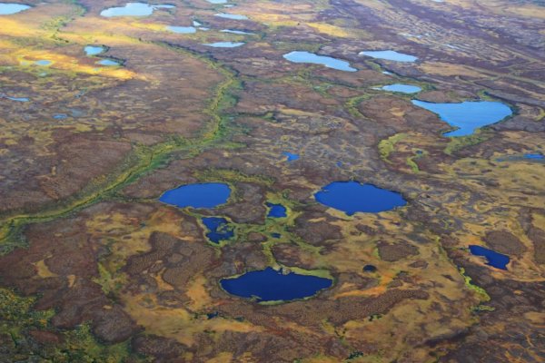 Термокарстовые озера Таймыр