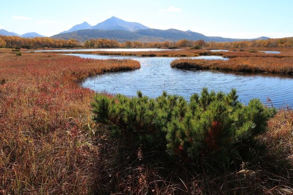 Озера в тундре